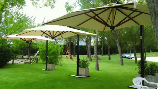 America Elite in Legno