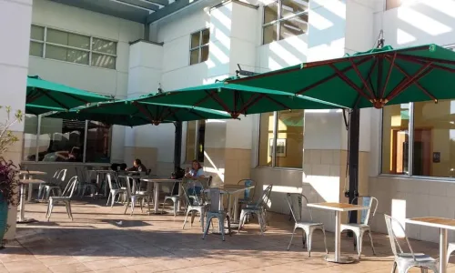 imgarticolo_gallery (1) (1)